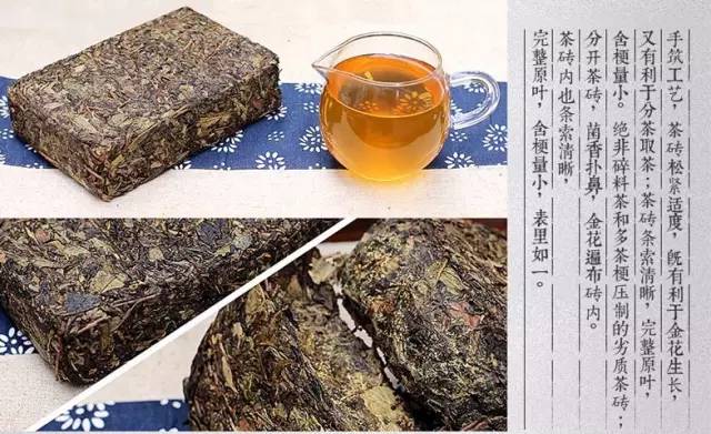 茶友经常问的有关黑茶的常见问题