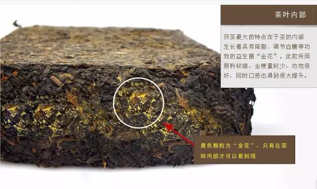 难以置信！黑茶竟然能闯出这样的“大祸”！