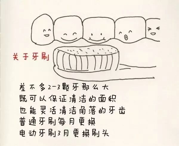今天的“萌主”是巴氏刷牙法，下面隆重介绍一下