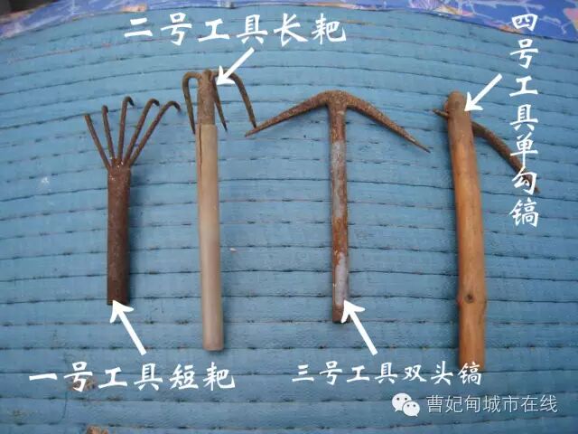 最精准,超实用的曹妃甸挖蛤,海钓全攻略【全年通用】