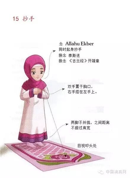 看图学礼拜女子篇转给你身边还不会做礼拜的女性