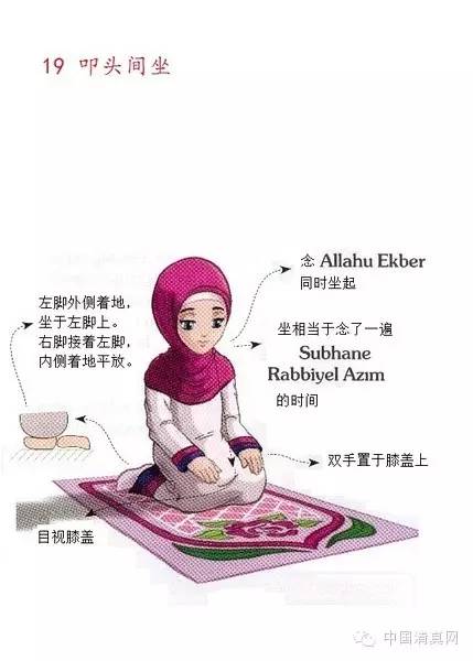 穆斯林女子礼拜教程图片