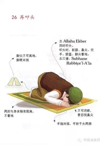 看图学礼拜男生版转给你身边还不会礼拜的穆斯林兄弟