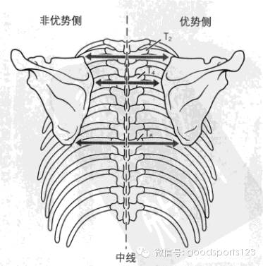 人人平等拒絕高低肩 古德體育 微文庫
