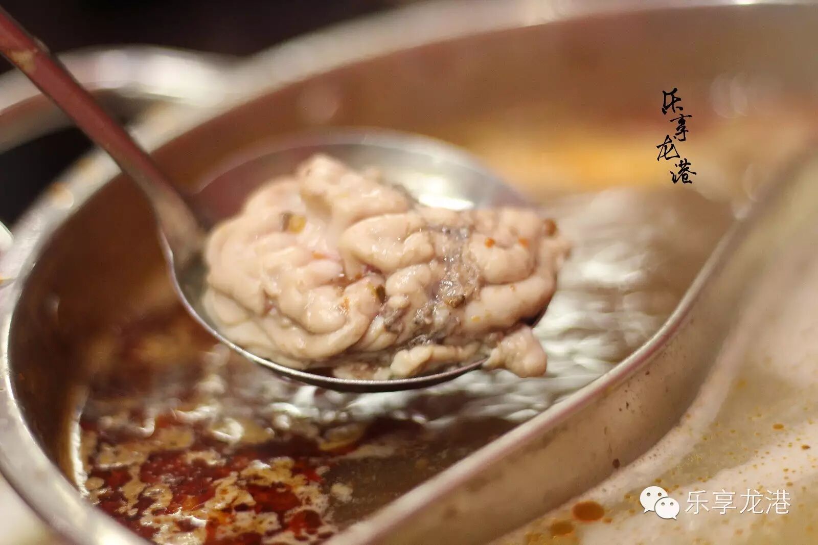 龙港那些好吃又实惠的火锅指南!