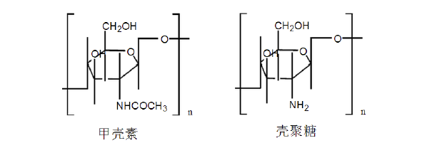 医疗器械用什么材料可吸收高分子材料在植入医疗器械中的应用及研发方向_https://www.jmylbn.com_新闻资讯_第2张
