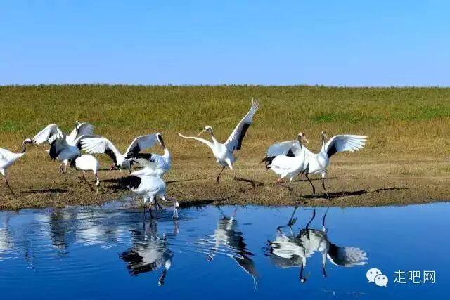 中国十大最情怀自驾线路