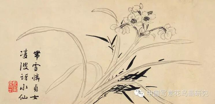 美国大都会艺术博物馆藏南宋  赵孟坚  水仙图南宋  赵孟坚 水仙水墨