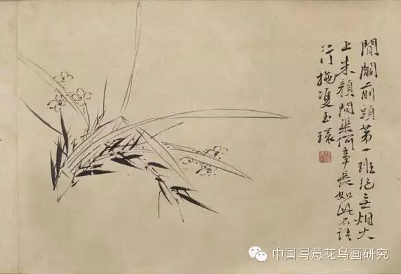 仇英 水仙蠟梅軸明  陆治 花卉册页明  周之冕  百花图卷明 陈淳 墨 