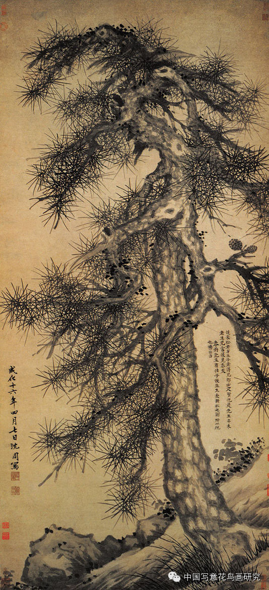 历代名家画松一