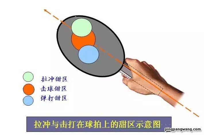 原来最佳击球点是力度,方向以及击球部位诸多要素的结合点,此点在甜区
