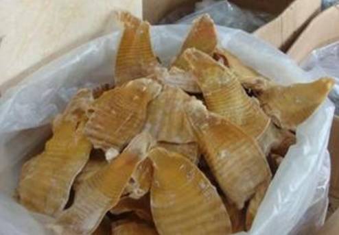 萧山新增13项"非遗"项目,你知道几样?