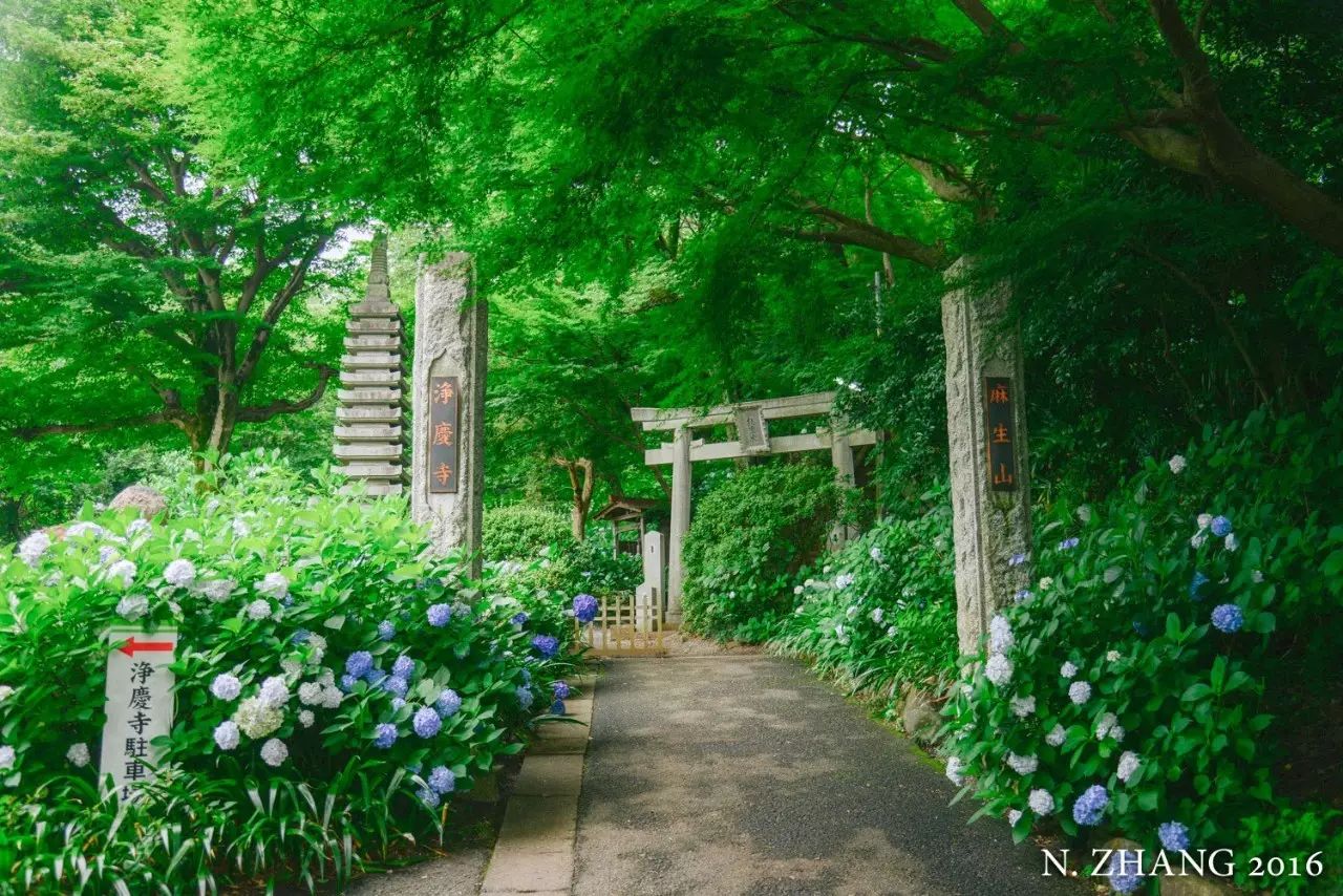 古寺 五 淨慶寺 與時俱進的羅漢們 一邊寫詩一邊旅行 微文庫