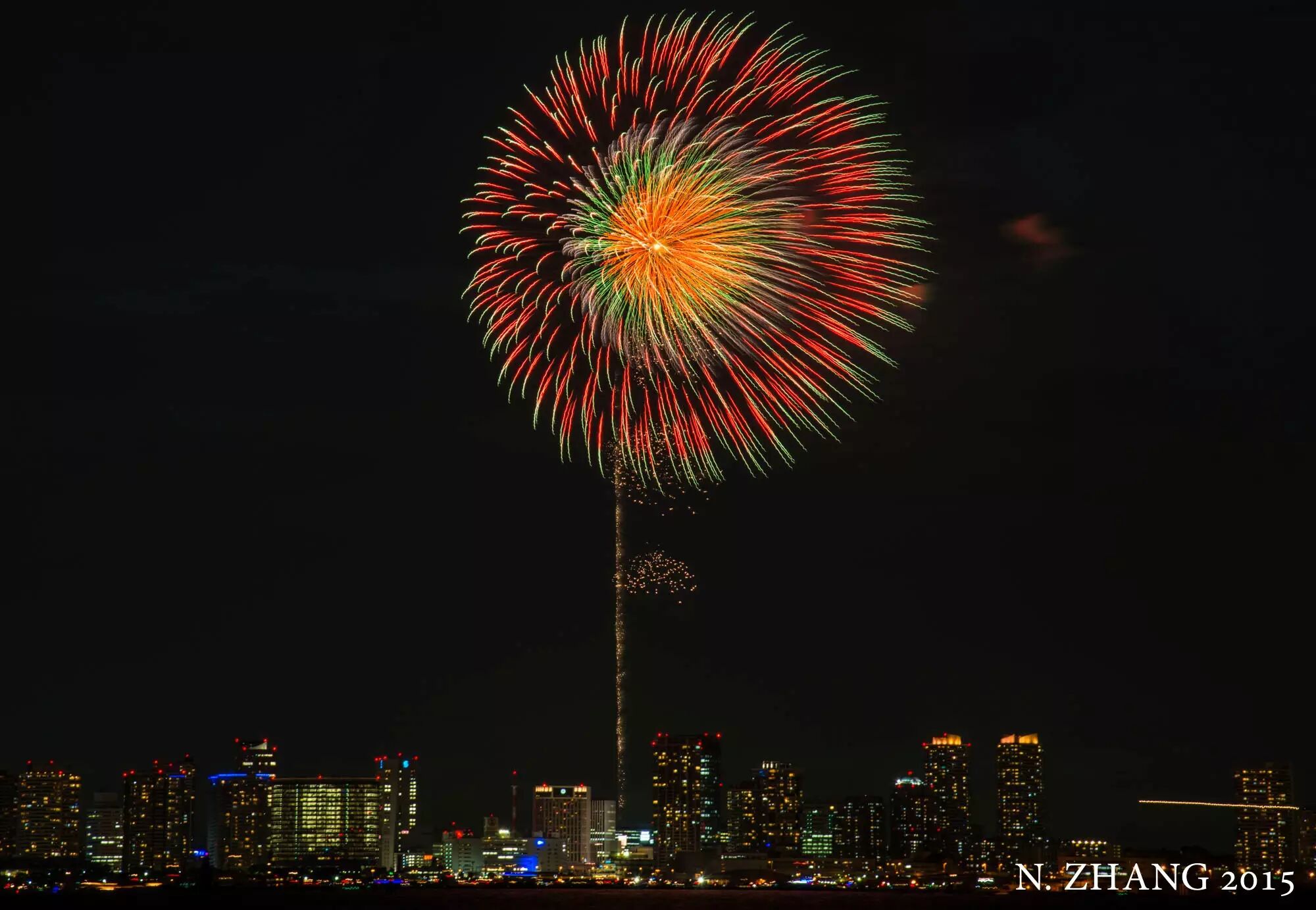 新しいコレクション 東京大華火祭 15 2656