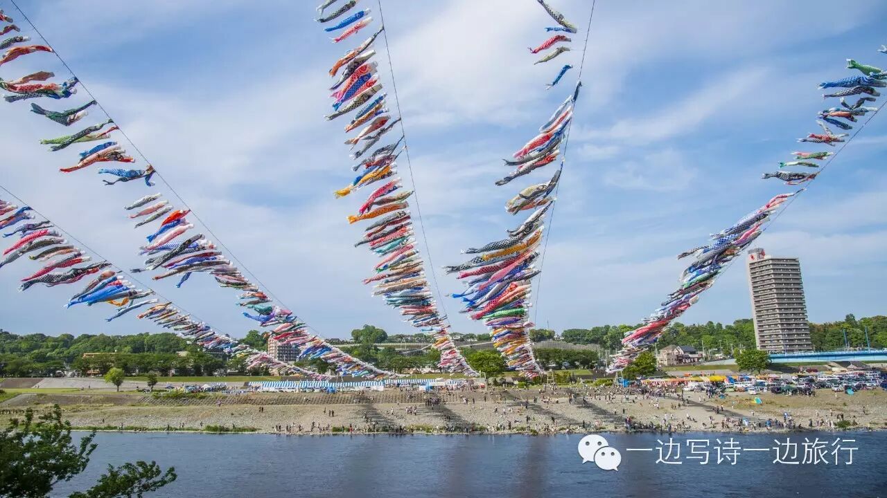 兒童節 全日本鯉魚旗觀賞地彙總 一邊寫詩一邊旅行 微文庫
