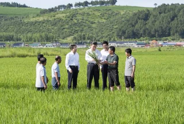 2015年习总书记到过哪些地方