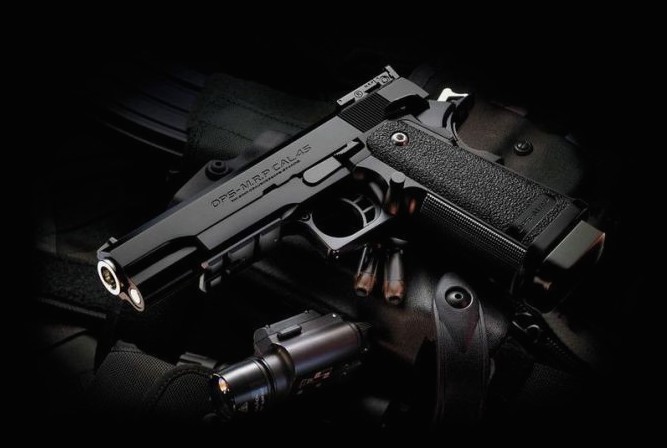 世界名枪大全太漂亮了