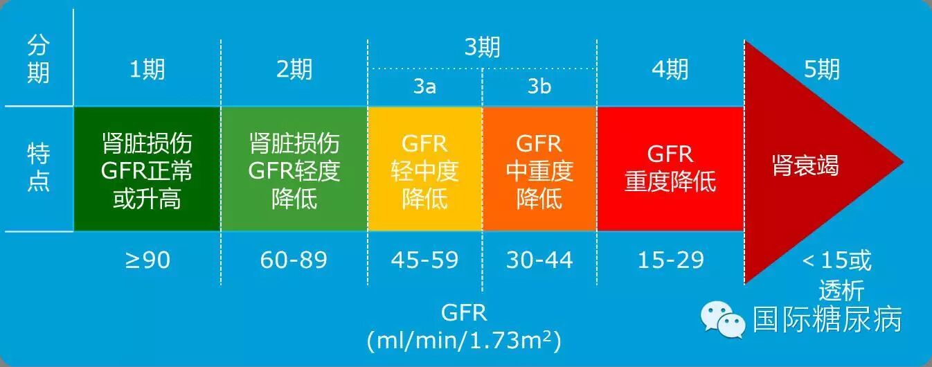 关注肾功能分期 「循」t2dm的安全降糖之策 - 好大夫在线