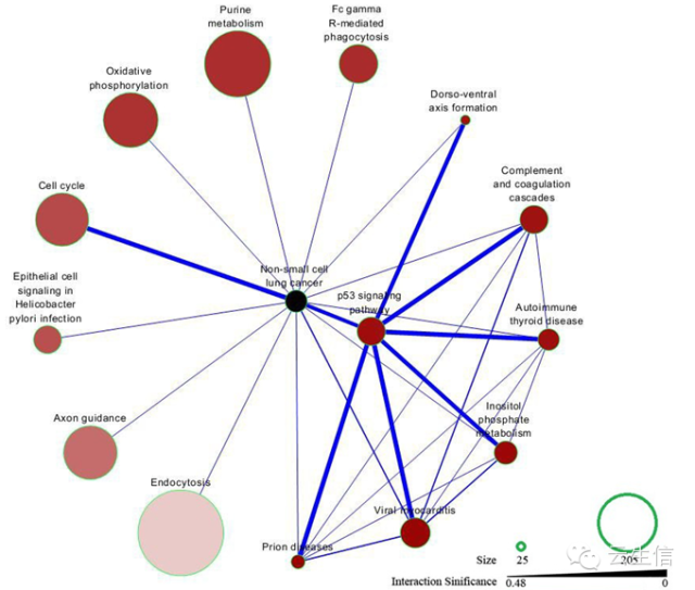 科学网—cytocape软件的使用 - 熊朝亮的博文