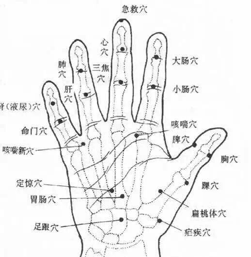 原来文玩这么重要