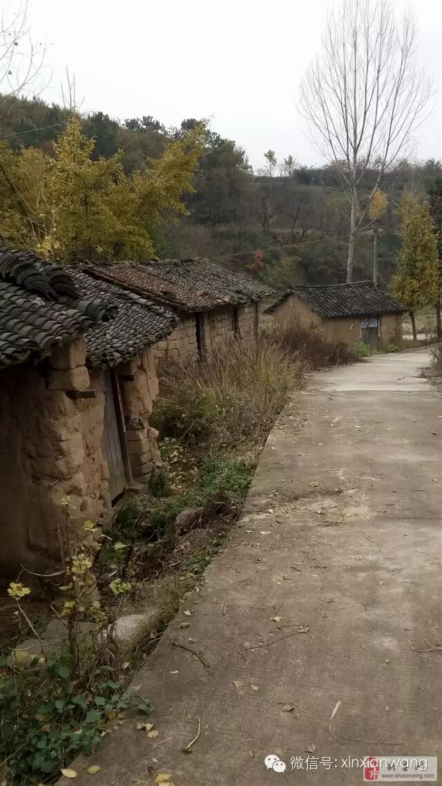 城事荒凉的村庄苏河庙墩村何洼组