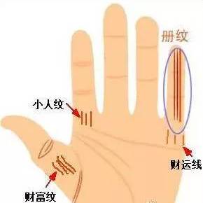 手掌图解男性_手掌图解男左女右_手掌痣相图解男