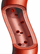 164_220gif 动态图 动图