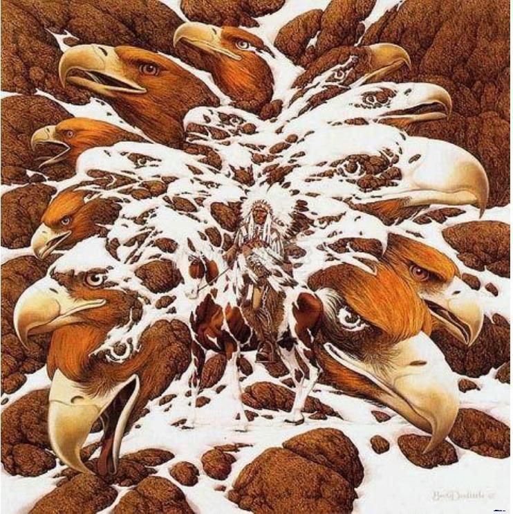 世界上最奇怪的55张图片