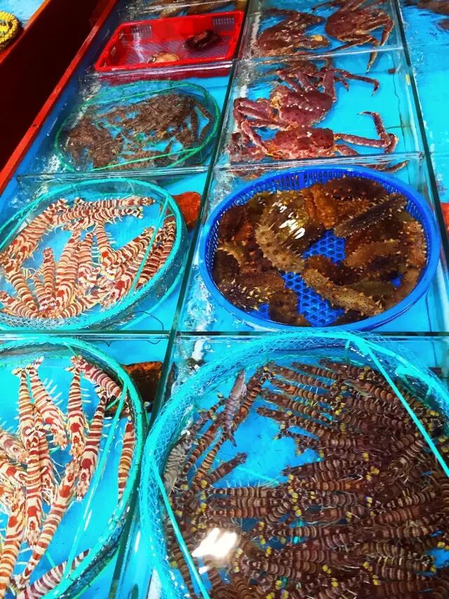 中国三明治 破茧 计划 持续更新中 七彩视界 九号胡同 Powered By Discuz