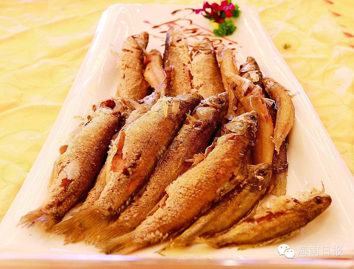 香煎小海鱼爱心马鲛鱼咸蛋黄焗膏蟹蟹粥海鲜篇——滨海城市,如何少的