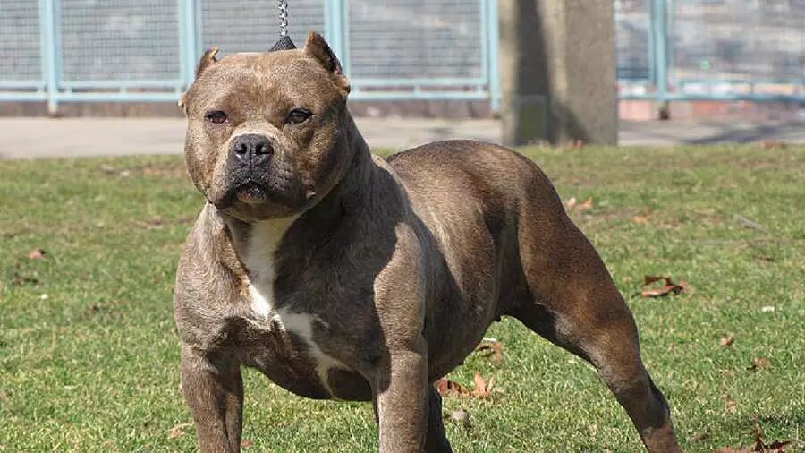 在西班牙学驾照买车，必须了解的Centros de Reconocimientos Medicos