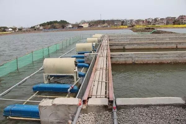 低碳高效循环流水养殖模式开启中国水产养殖新时代