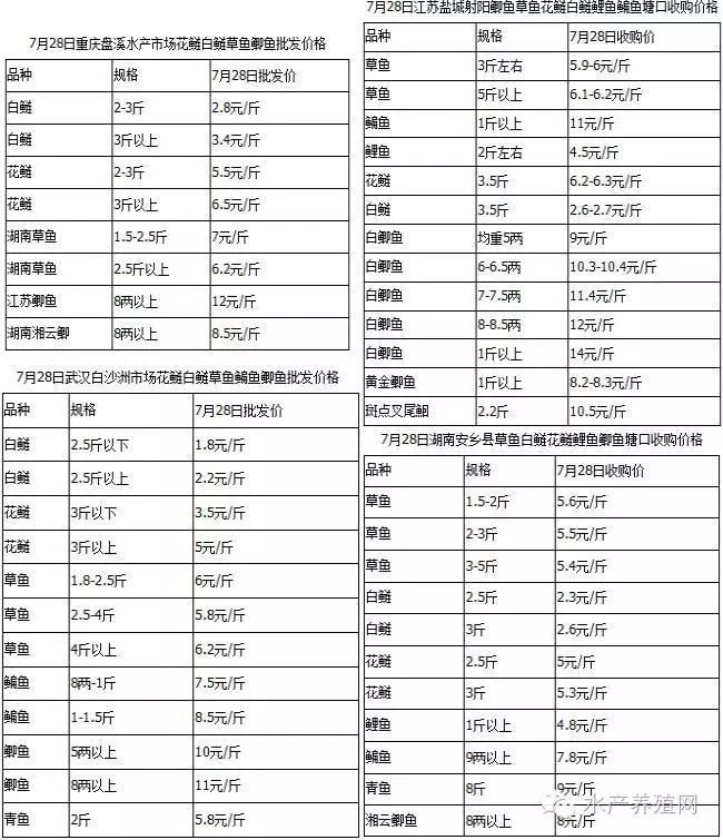 重庆,武汉,常德,盐城四地淡水鱼价格汇总