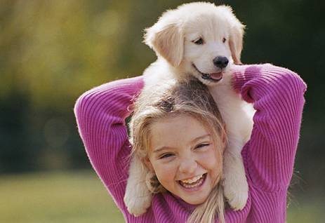 一个外国小孩眼中的《新华字典》,居然是《屠夫手册》?