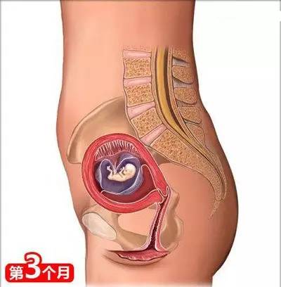 备孕枕头垫在哪个位置图片_备孕垫枕头的方法图_备孕枕头