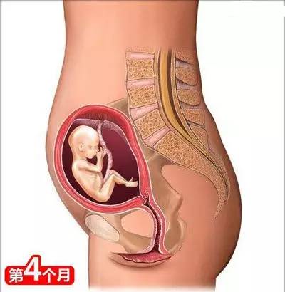 备孕枕头垫在哪个位置图片_备孕枕头_备孕垫枕头的方法图