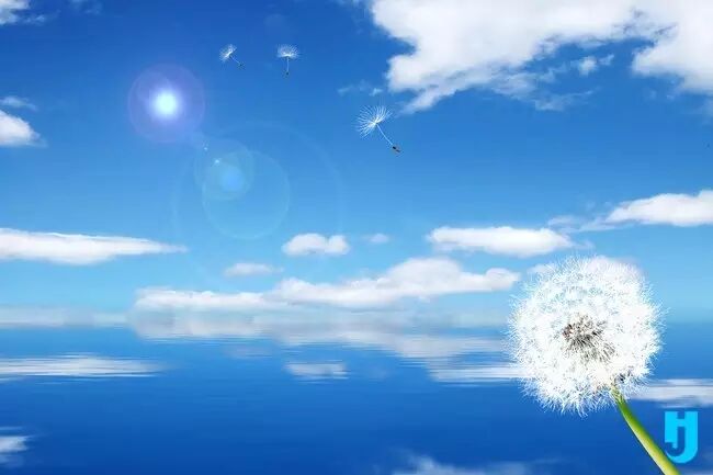 天空说,你飞翔吧,去寻找被风带走的心情