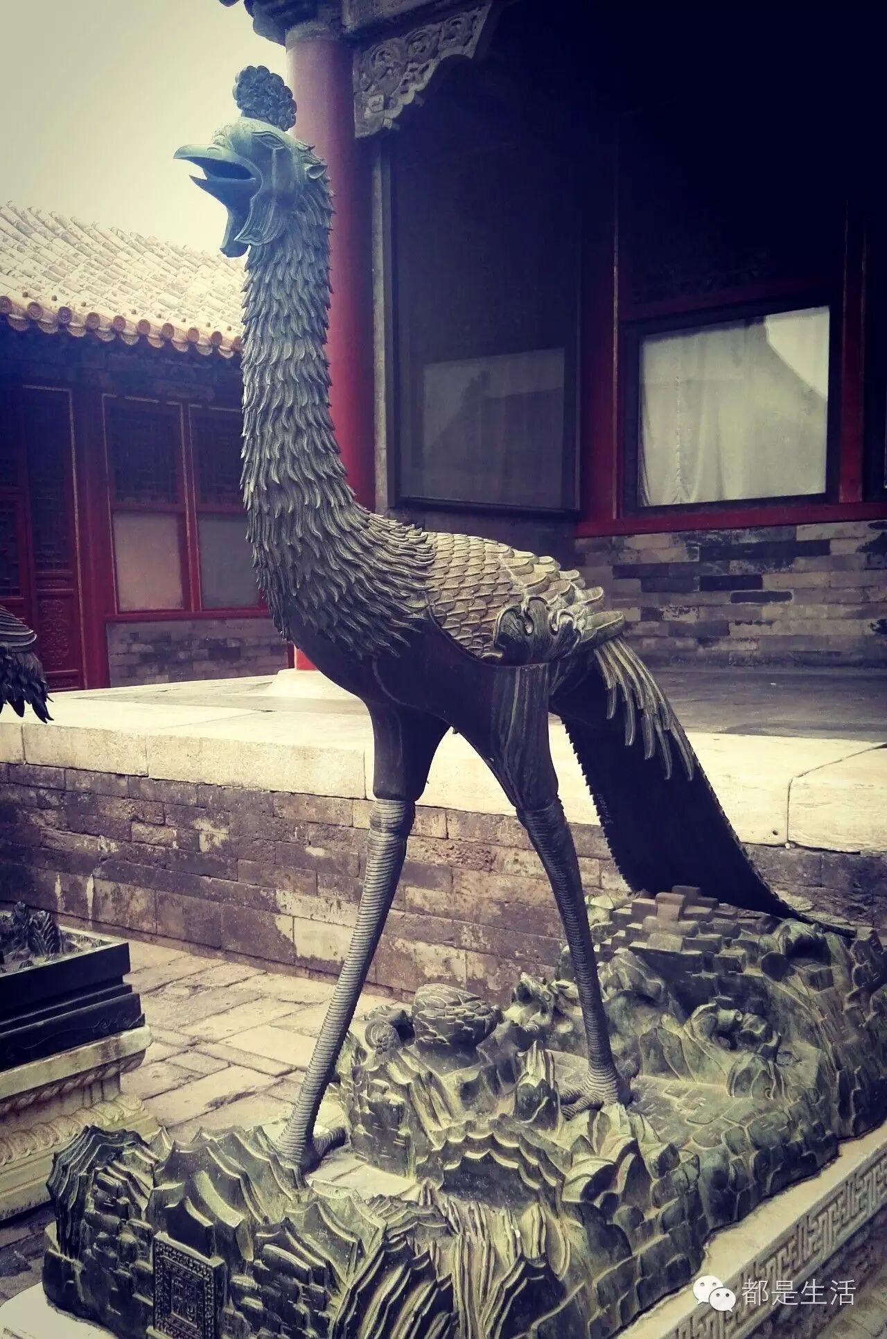 走进故宫紫禁城:日夜守护皇城的神兽