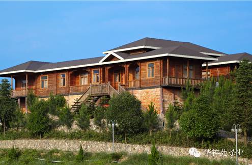 五一,到安溪体验制茶吧