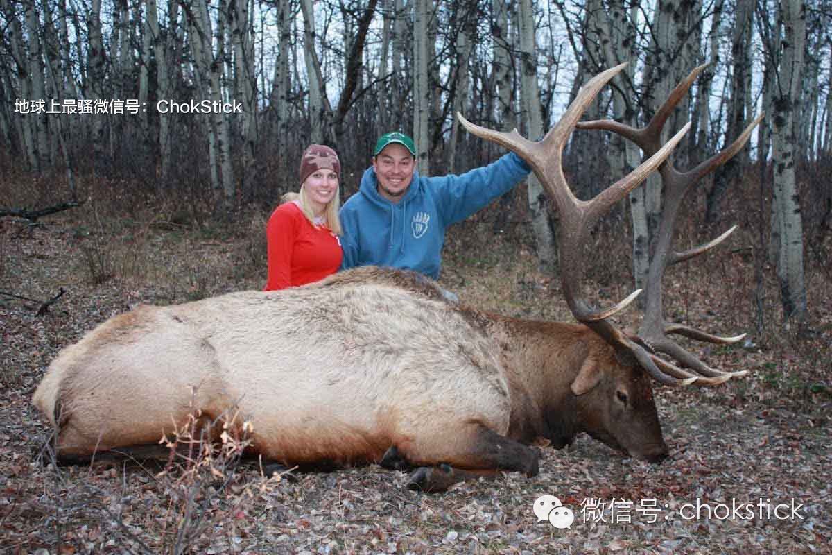 平均 9 英尺地就有熊的足迹,暖冬过后驼鹿迁徙的景象也是够热闹的.