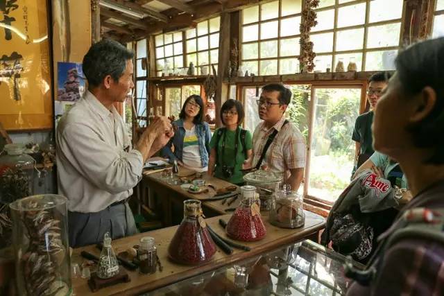 這對台灣夫妻在鬧市建夢幻園林，房間蓋在樹根上，收藏種子500+，吸引了無數人 家居 第19張