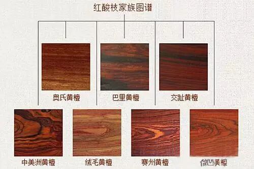 比较绚丽花纹的黄檀属木材称其为"花酸枝",后简称"花枝",其余称"白枝"