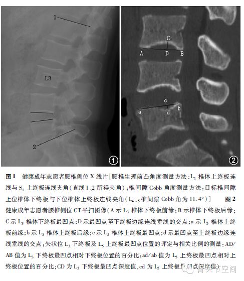 健康成年人腰椎终板矢状位形态学研究 - 丁香园论坛