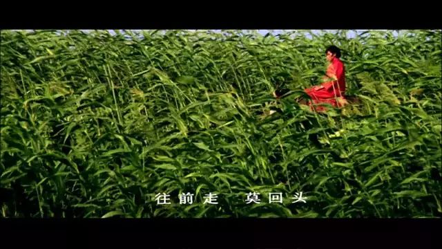 《紅高粱》重映，懷念當年的張藝謀！ 戲劇 第9張