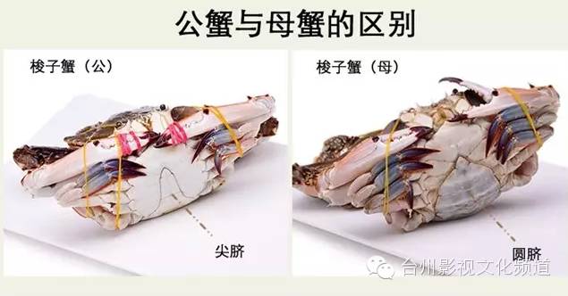 花蟹