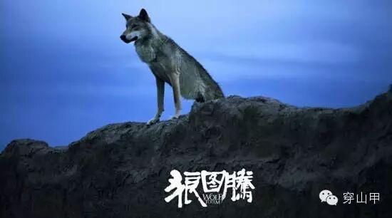 本周推荐图书:游牧民族的精魂——《狼图腾》