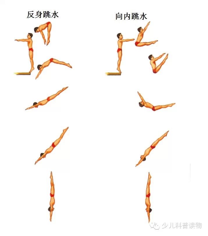 夏季运动游泳跳水小知识