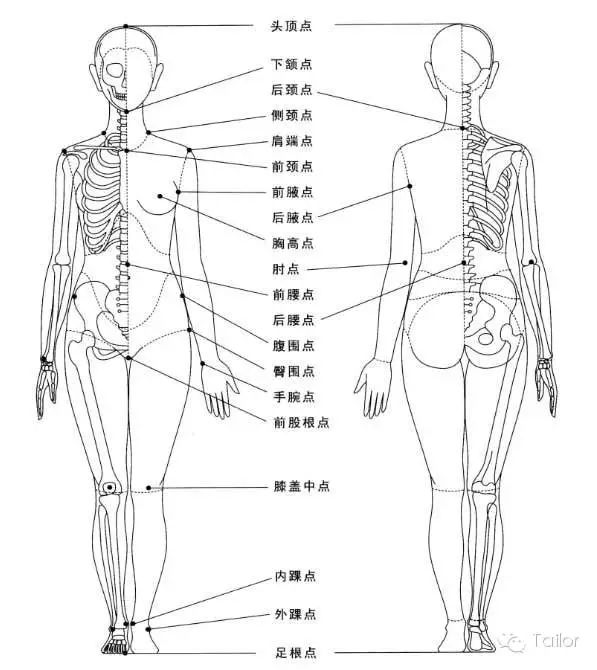 要正确地测量出入体各部位的尺寸,就必须先正确地设定人体各部位测量