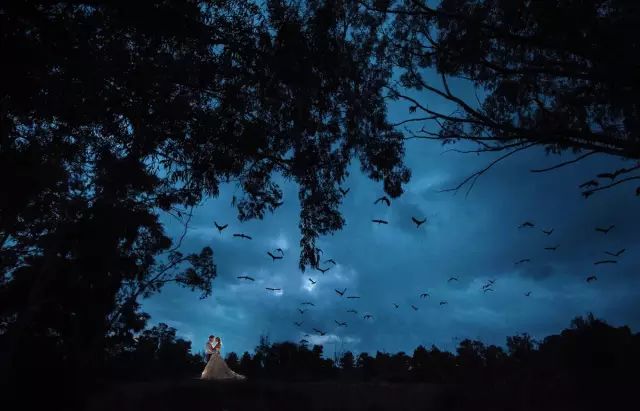 讲真，我被这些最新的婚纱照片惊艳了！