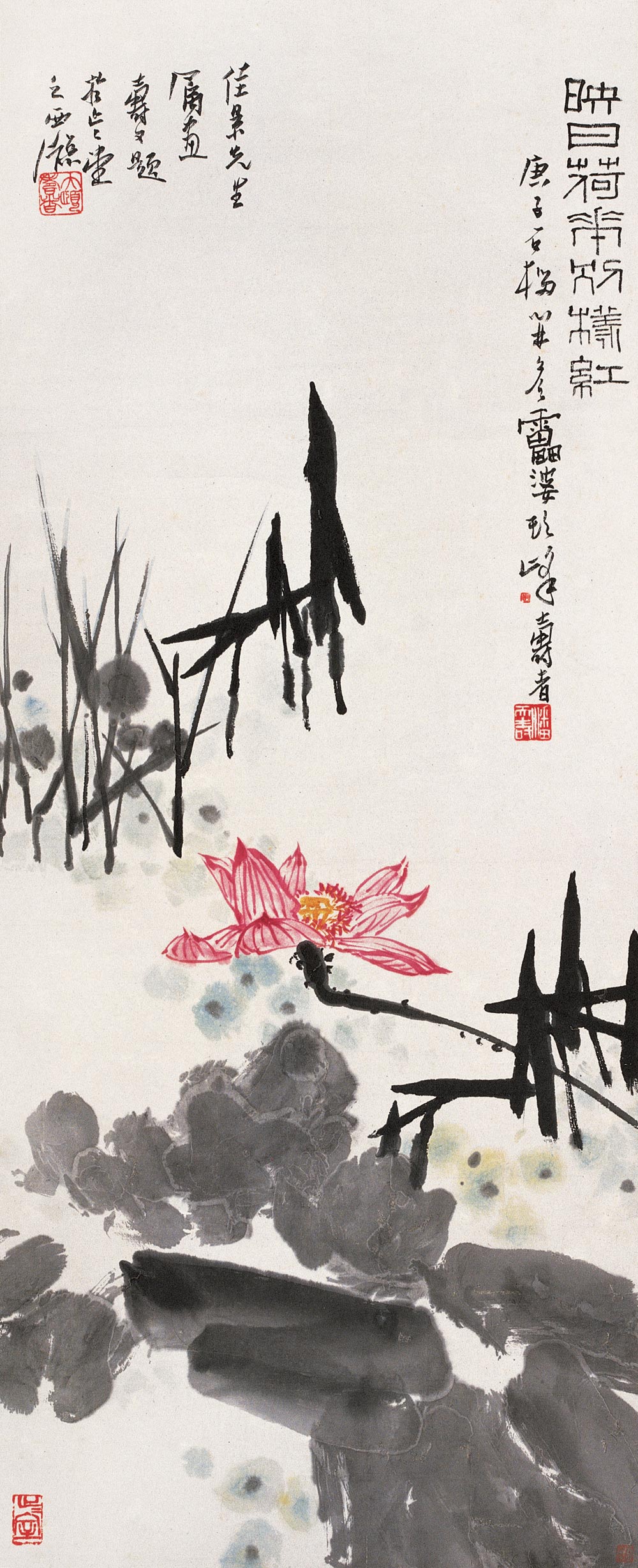 映日荷花潘天寿精选作品60幅高清